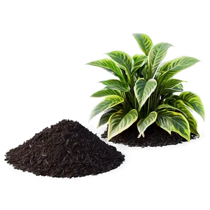 Acid Loving Plants Mulch PNG 7 PNG