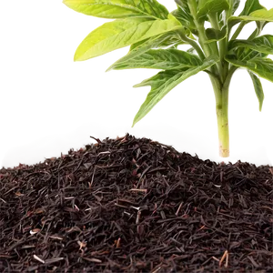 Acid Loving Plants Mulch PNG Drd
