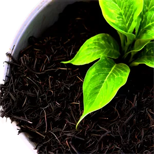 Acid Loving Plants Mulch PNG Pqn PNG