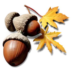 Acorn In Autumn Scene Png Gca94 PNG image