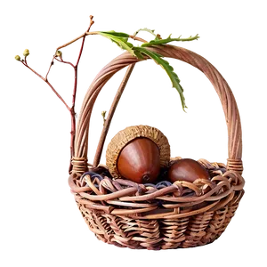Acorn In Basket PNG 05252024 PNG