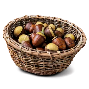 Acorn In Basket PNG 65 PNG