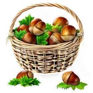 Acorn In Basket Png Gna PNG image