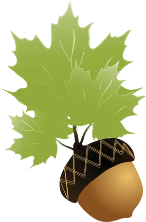 Acornand Maple Leaves Illustration PNG
