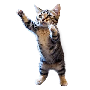 Action Cat Meme PNG Mkf PNG