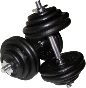 Adjustable Weight Dumbbells PNG