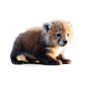 Adorable Baby Animals Picture Png 42 PNG image