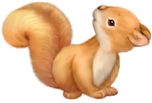 Adorable Cartoon Squirrel