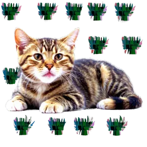 Adorable Cat Meme PNG Agf