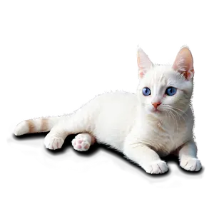 Adorable Cat Meme PNG Ynm