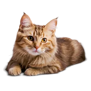 Adorable Cat PNG 58