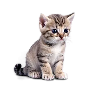 Adorable Crying Kitten Png 63 PNG image