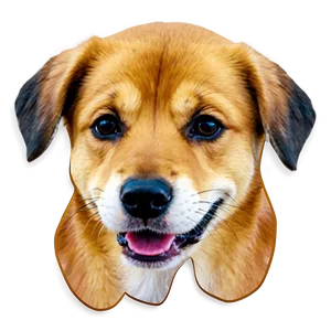 Adorable Dog Face Outline Png 06212024 PNG image