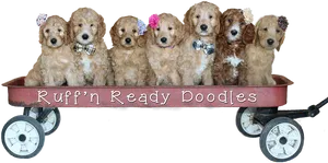 Adorable Doodle Puppiesin Wagon PNG image