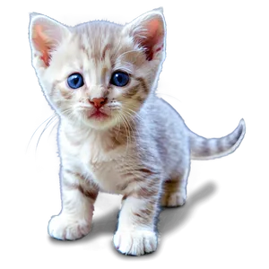 Adorable Kitten PNG Hfx