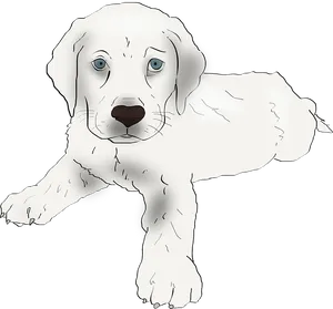 Adorable Labrador Puppy Illustration PNG image