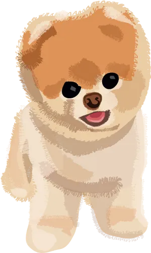 Adorable Pomeranian Illustration PNG