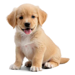Adorable Puppy PNG 05062024