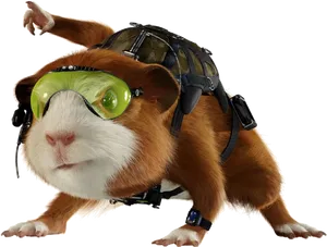 Adventure Ready Guinea Pig PNG image