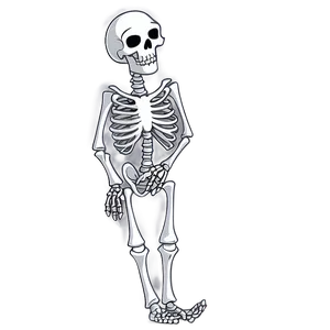 Adventure Skeleton Cartoon Png 16 PNG image