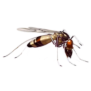 Aedes Mosquito Png 37 PNG image