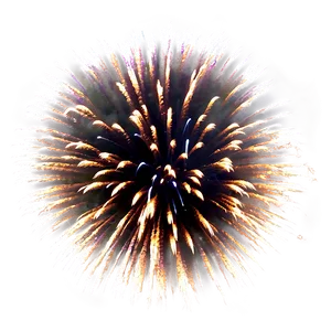 Aerial Fireworks Png 64 PNG image