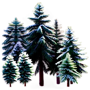 Aerial View Of Spruce Trees PNG 26