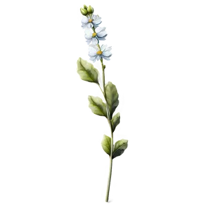 Aesthetic Flower Stem PNG 37 PNG