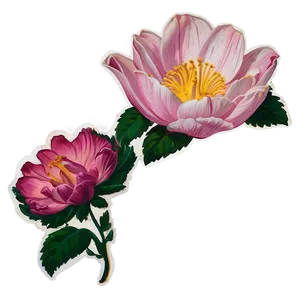 Aesthetic Flower Sticker PNG 26 PNG