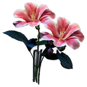 Aesthetic Flowers Bundle PNG 06282024 PNG