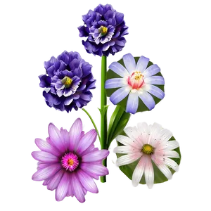 Aesthetic Flowers Bundle PNG 06282024