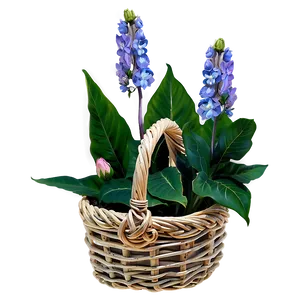 Aesthetic Flowers In Basket PNG 06282024