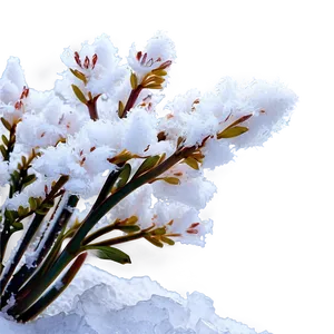 Aesthetic Flowers In Snow PNG 42