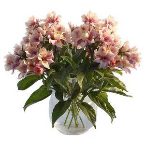 Aesthetic Flowers In Sunlight PNG 43