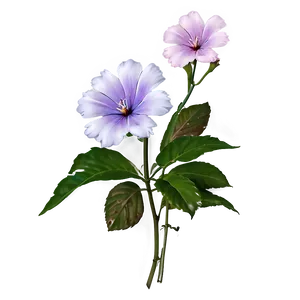 Aesthetic Flowers Overlay PNG 06282024