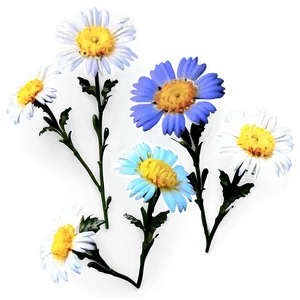 Aesthetic Flowers Overlay PNG 06282024