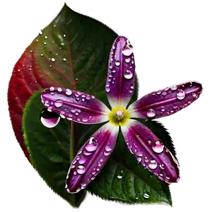 Aesthetic Flowers With Dew Drops PNG Byp PNG