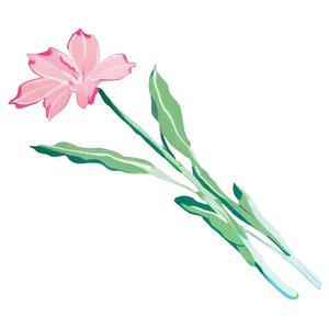 Aesthetic Minimalist Flowers PNG Klu