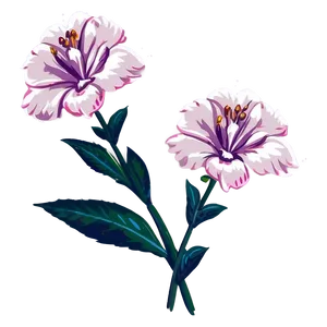 Aesthetic Minimalist Flowers PNG Rku