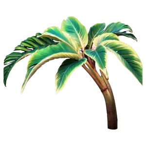 Aesthetic Tropical Plant PNG 06272024