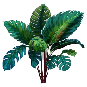 Aesthetic Tropical Plant PNG 06272024 PNG