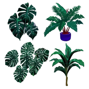 Aesthetic Tropical Plants Png Omu28 PNG image