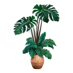 Aesthetic Tropical Plants Png Xip PNG image