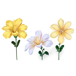 Aesthetic Yellow Flowers PNG 06122024 PNG