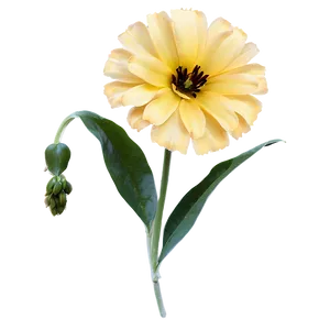 Aesthetic Yellow Flowers PNG Ons40 PNG
