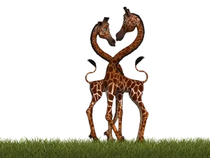 Affectionate Giraffes Nighttime Embrace PNG image