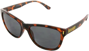 Affordable Tortoiseshell Sunglasses PNG image