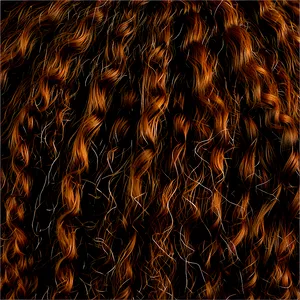 Afro Hair Texture Png 06202024 PNG image