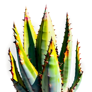Agave Plant Close-up PNG Upd PNG