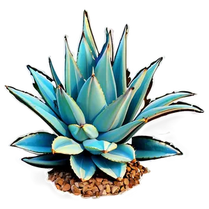 Agave Plant Outline Png 06282024 PNG image